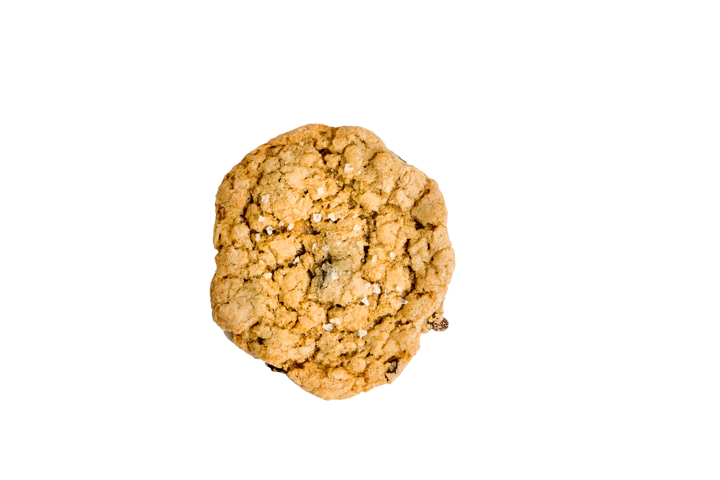 Oatmeal Raisin Reactor